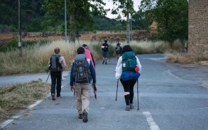 Lee más sobre el artículo ¿Se puede hacer el Camino de Santiago durmiendo en hoteles?